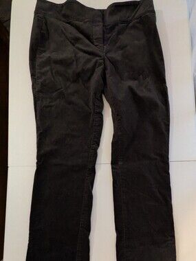 Ann Taylor Grey Velveteen Slim Straight Pants
